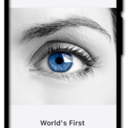 VerifEye (Automated Polygraph / Lie Detection)
